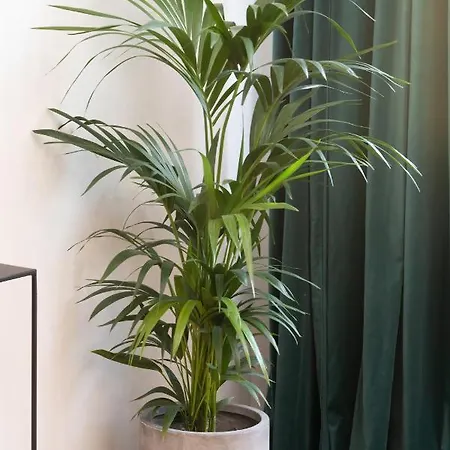 Rivoli Near The & Pier By Renters * ソポト