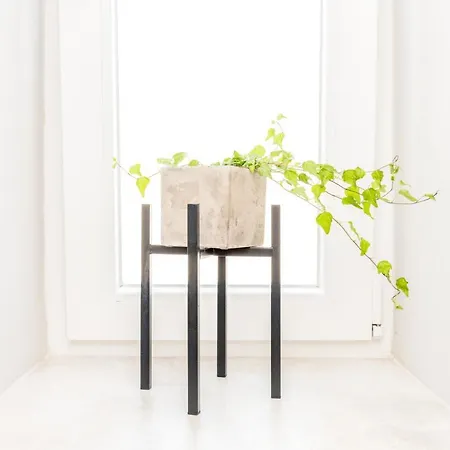 Rivoli Near The & Pier By Renters アパート *