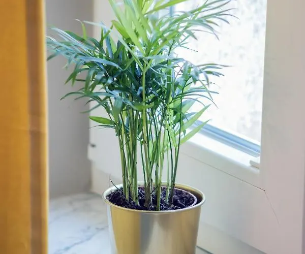 Rivoli Near The & Pier By Renters Appartamento