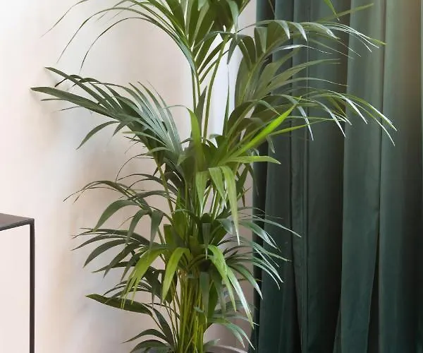 Rivoli Near The & Pier By Renters * Sopot