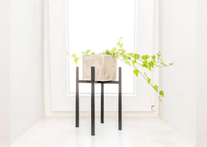 Rivoli Near The & Pier By Renters Appartamento *